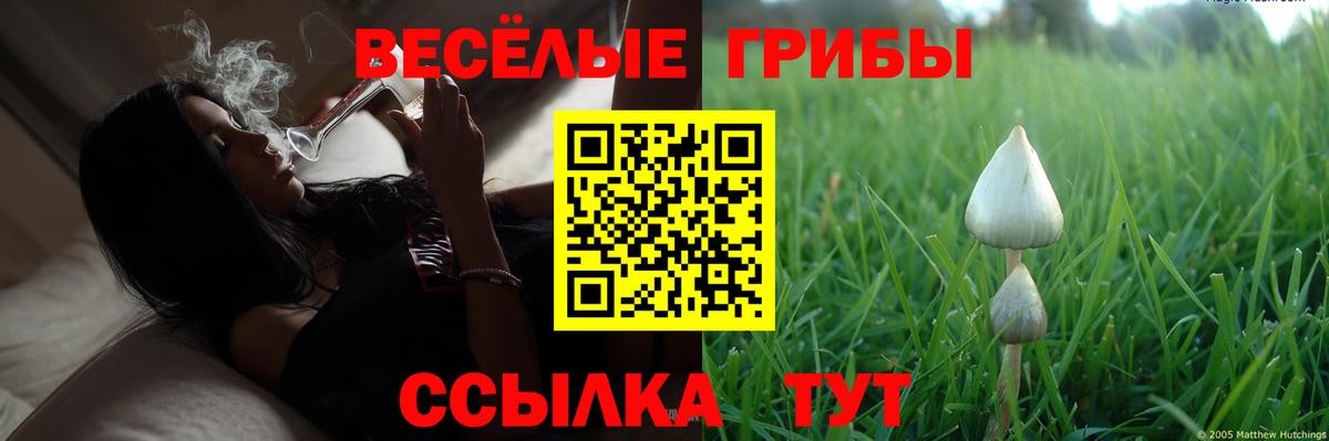 Димитровград  Галлюциногенные грибы GOLDEN TEACHER  Вход с VPN 